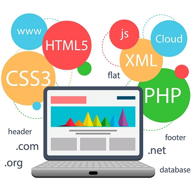 desarrollo web